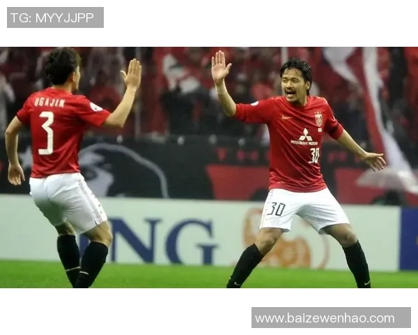 北京排球队中路突破的秘密与战术解析深度探讨