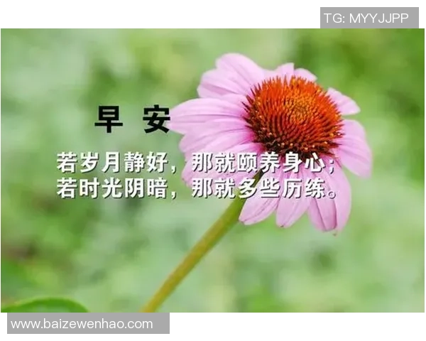 足球语录图片分享:激励你追逐梦想的经典语句与精彩瞬间 足球语录图片分享:激励你追逐梦想的经典语句与精彩瞬间