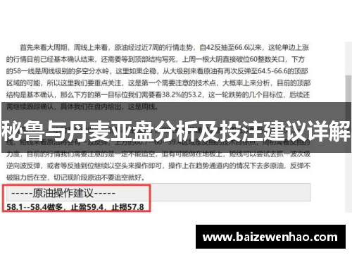 秘鲁与丹麦亚盘分析及投注建议详解