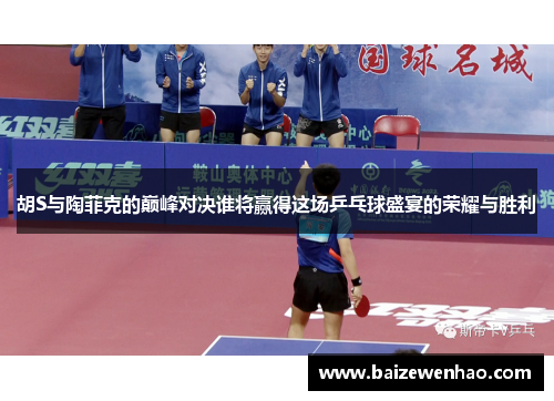 胡S与陶菲克的巅峰对决谁将赢得这场乒乓球盛宴的荣耀与胜利